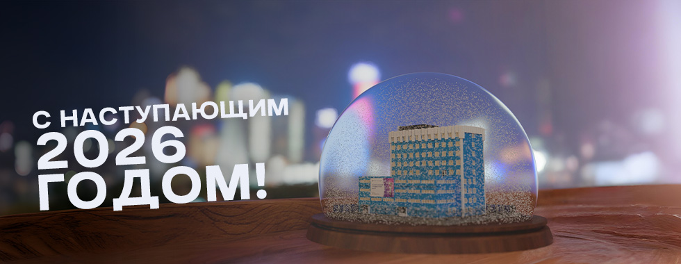 новый год вивт